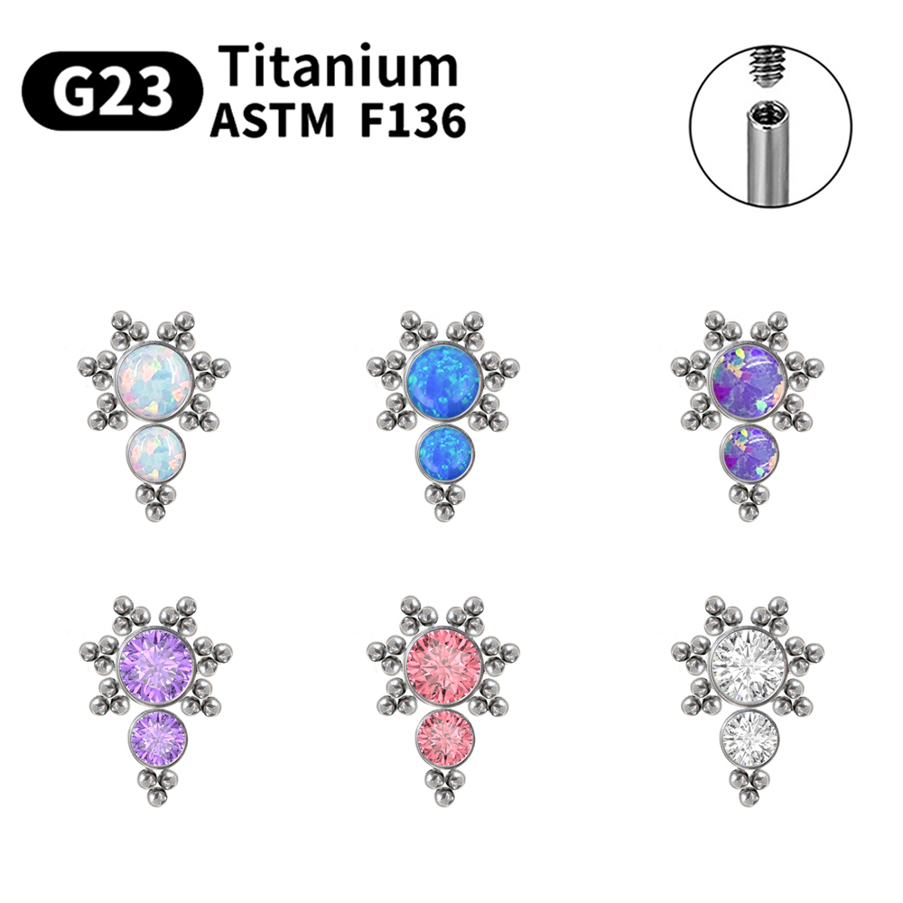 G23 Titan Piercing Ohrstecker  – Opal Earrings Dangle Bewertung und Preis