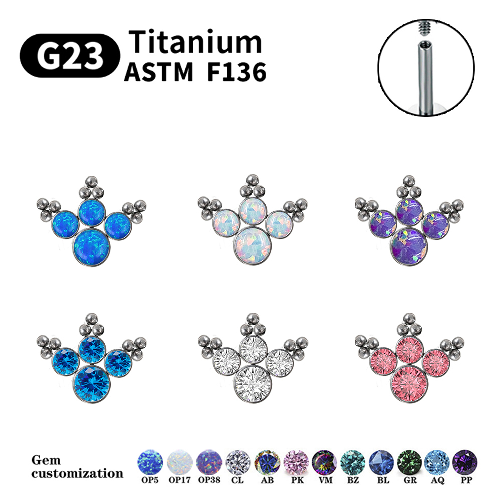 G23 Titan Piercing Ohrstecker  – Opal Earrings Dangle Bewertung und Preis